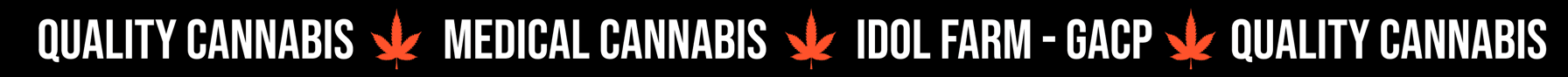 About Us Banner Strip